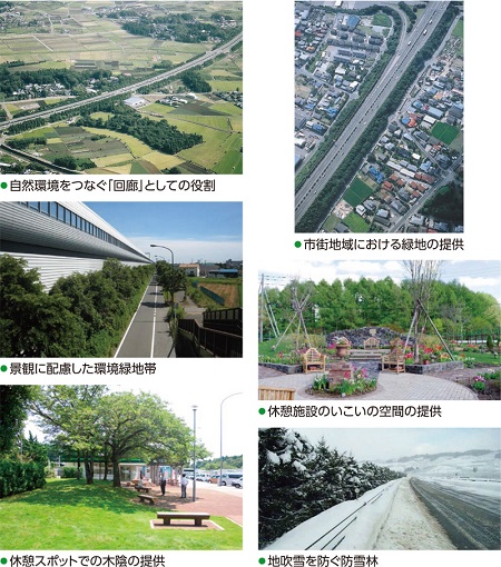 緑化の推進のイメージ画像